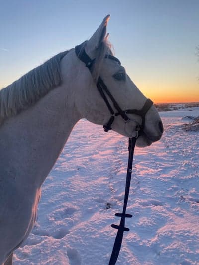 Inlägg 171 av Allround med titeln ❤️❤️