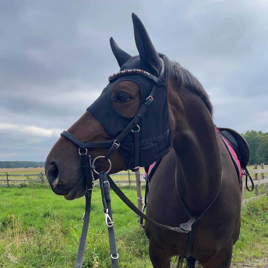 Bild 1 av Nemesis Divina (41)