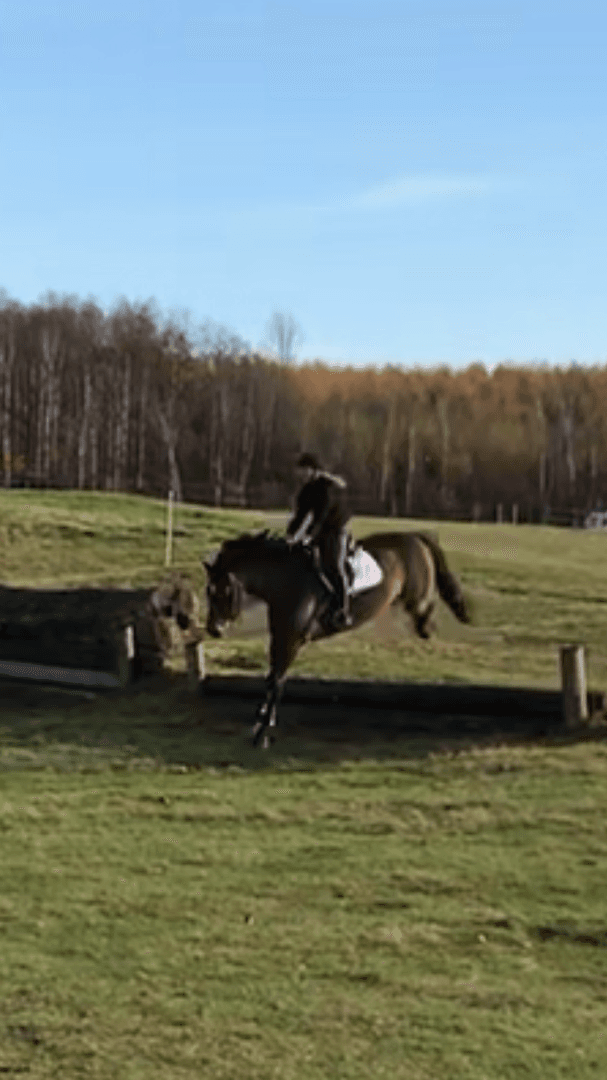 Image 1 of Odd Molly