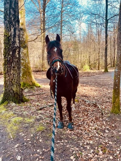 Inlägg 70 av Allround med titeln ❤️