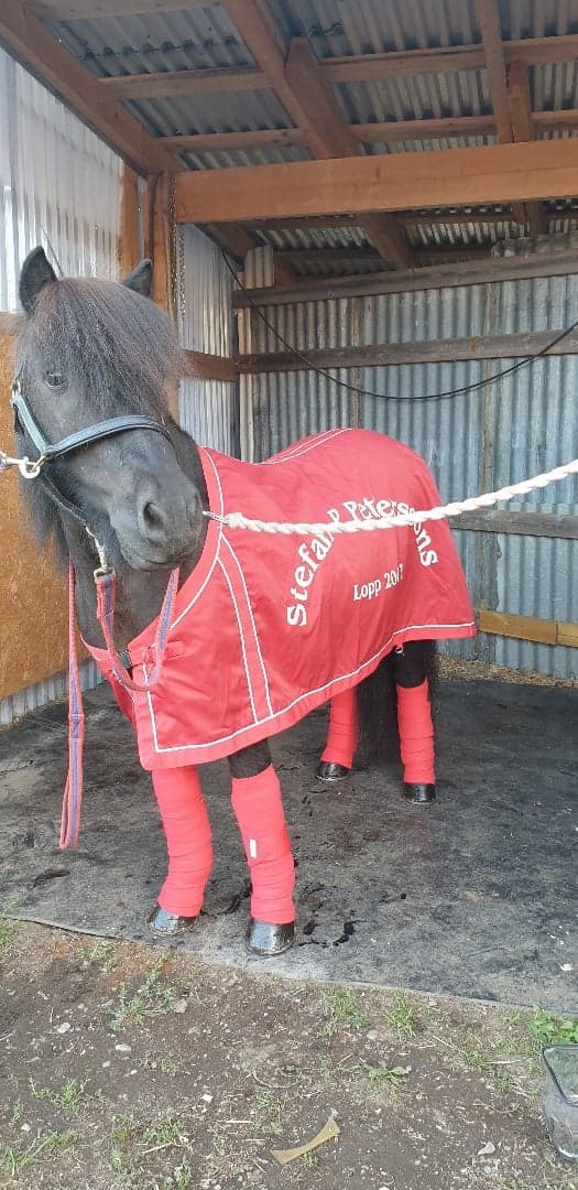 Media 1 av Ratatas Mikedo