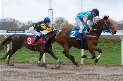 Inlägg 5 av Galopp med titeln Sista galopptävlingen för iår❤️‍🔥