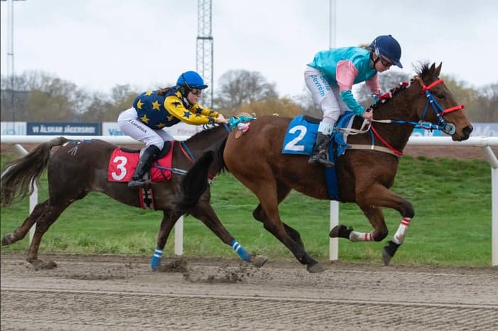 Media 2 av Boley Mickey Finn