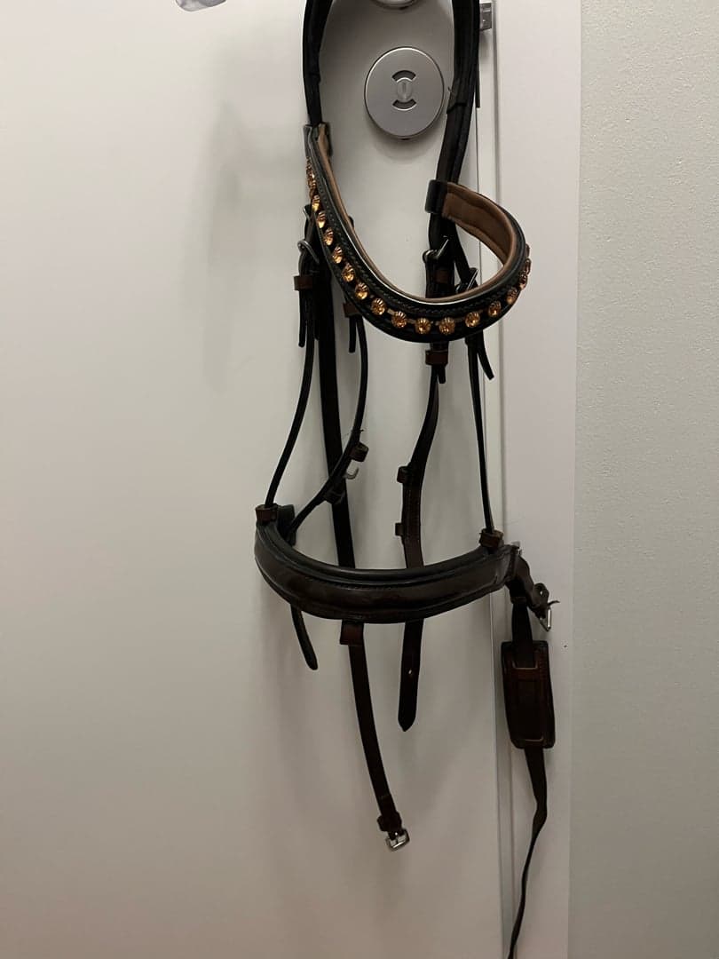 Bild 1 av Brunt träns 