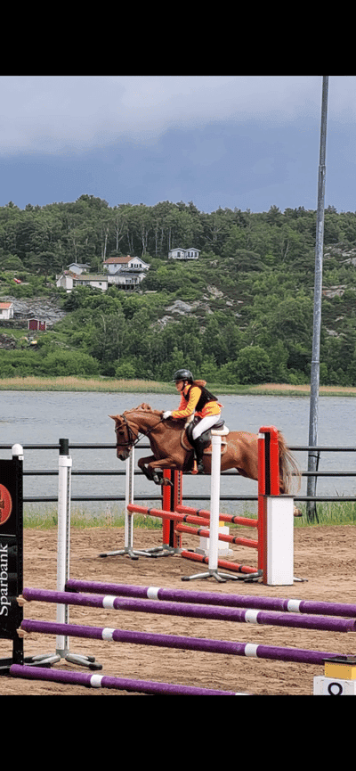 Inlägg 85 av Allround med titeln Min fina tjej