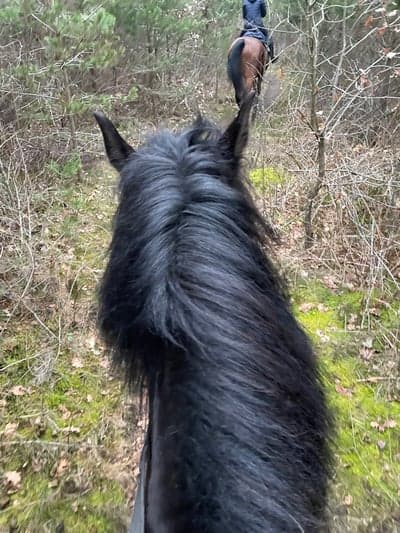 Inlägg 25 av Allround