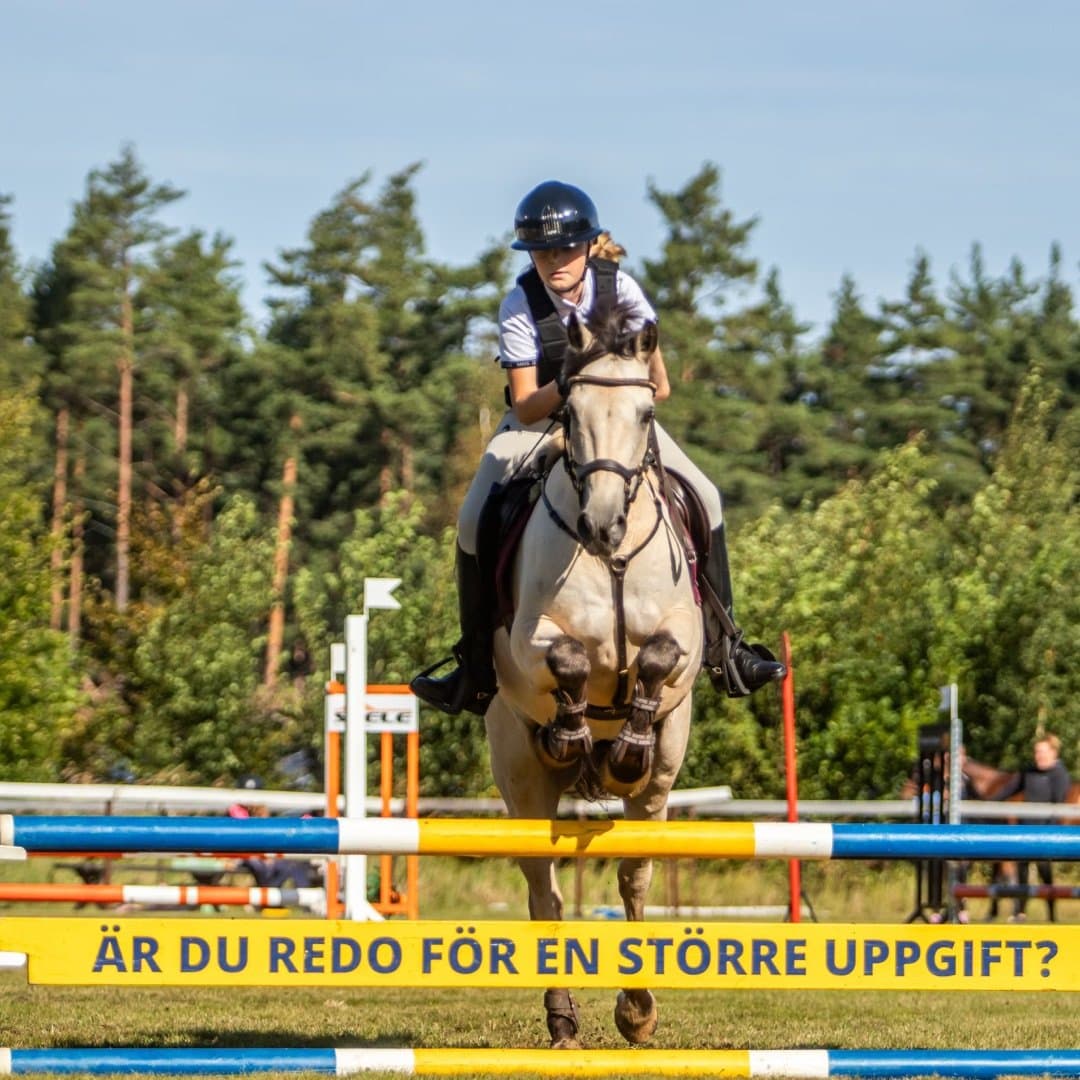 Bild 1 av placeholder text