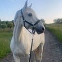 Profilbild av Willow Rocket