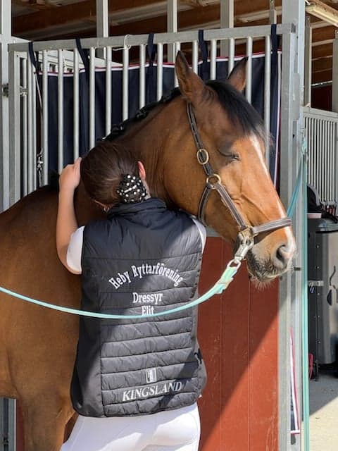 Bild av FEI ponny med Power 💥