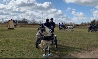 Inlägg 15 av Sportkörning