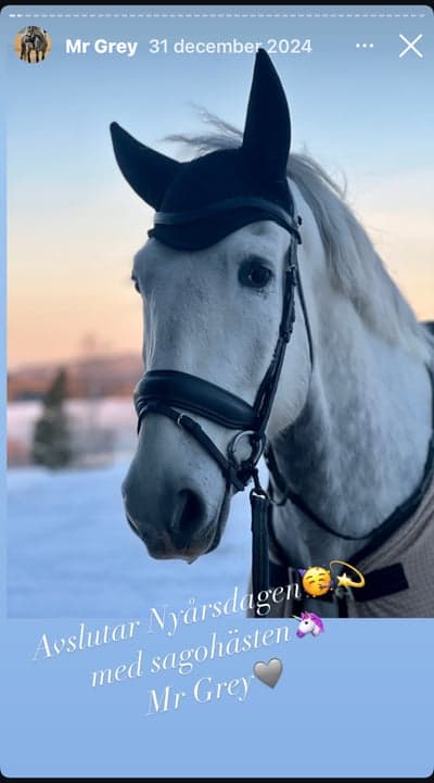 Pluto/Gråen stortrivs och är nu såld 🥹🤩