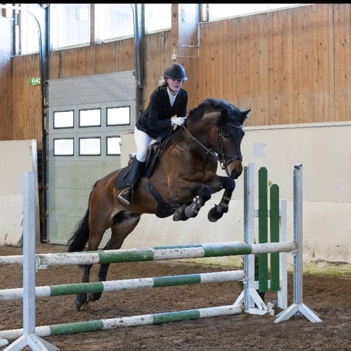 Media 1 av Tore Junior