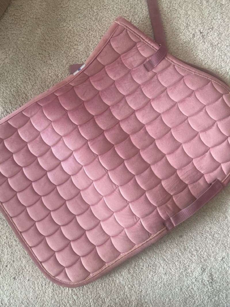 Bild 2 av Rosa schabrak