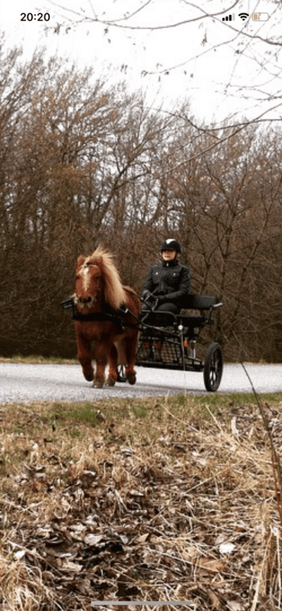Inlägg 11 av Sportkörning med titeln Ägarbyte till nuvarande hem