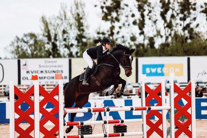 Media 1 av Conaire z