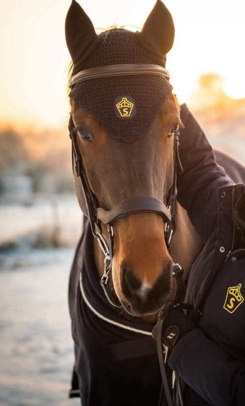 Bild av Swb sto f 15