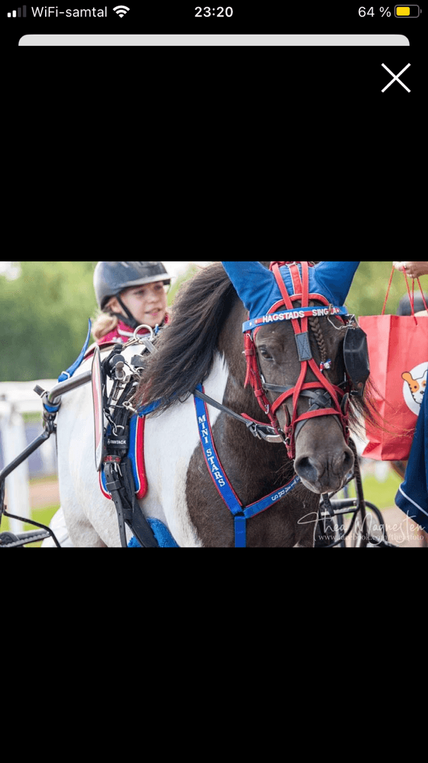 Bild 1 av placeholder text