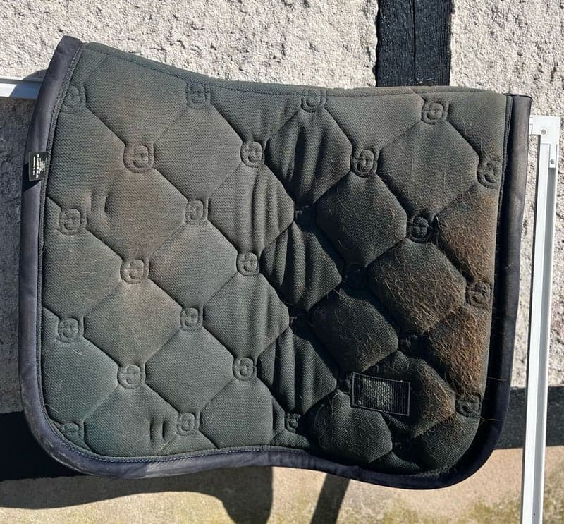 Bild 4 av Es dressyr schabrak COB Nyskick!