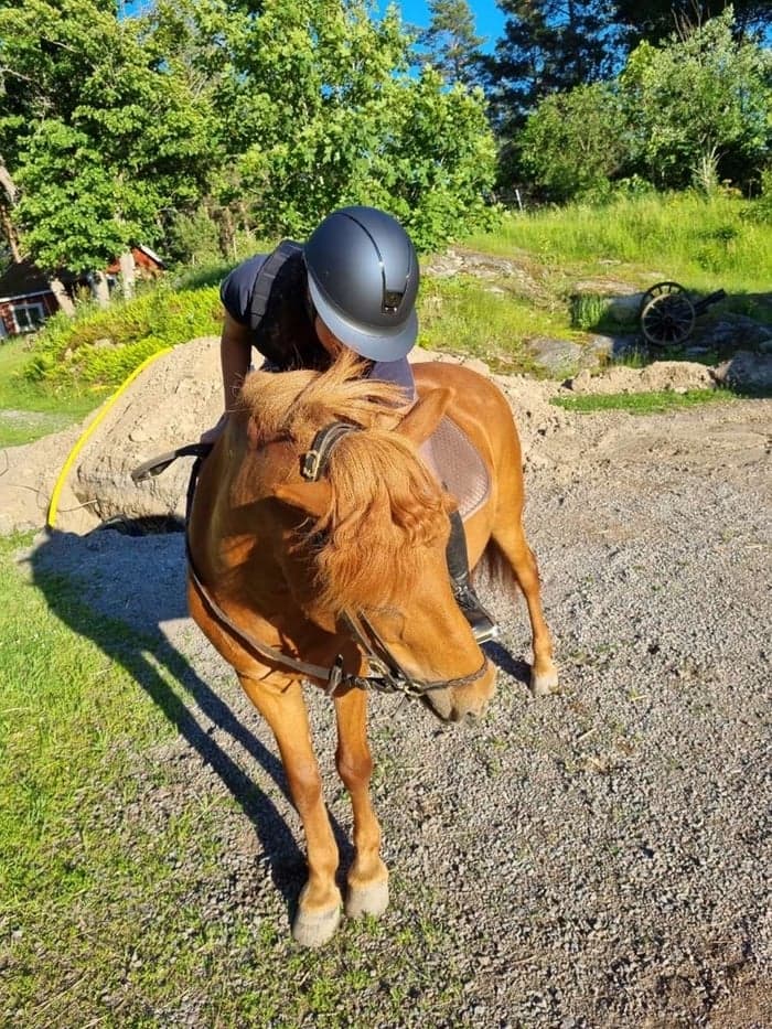 Media 1 of Raudka fra syltvik