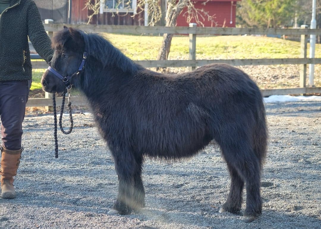 Bild 1 av Furunäs Design