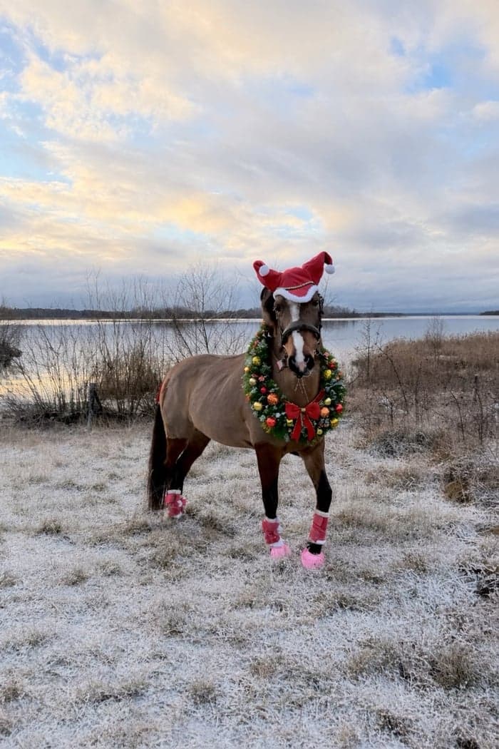 Media 2 av It aint easy