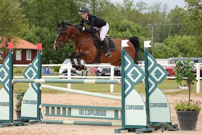 Bild 2 av Thornhill Roberta