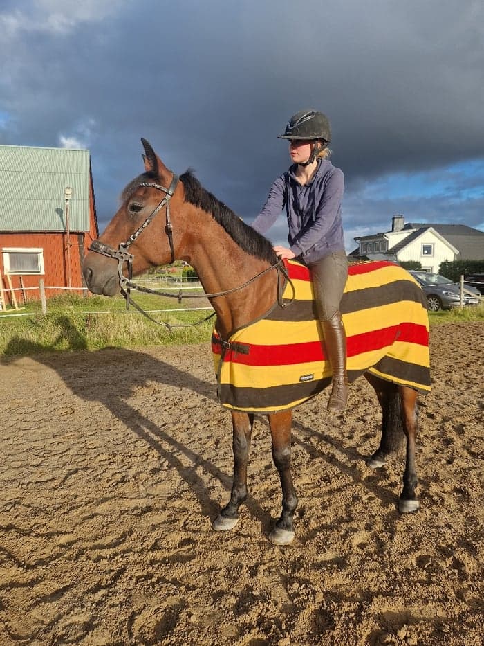 Media 1 av Yankee boy