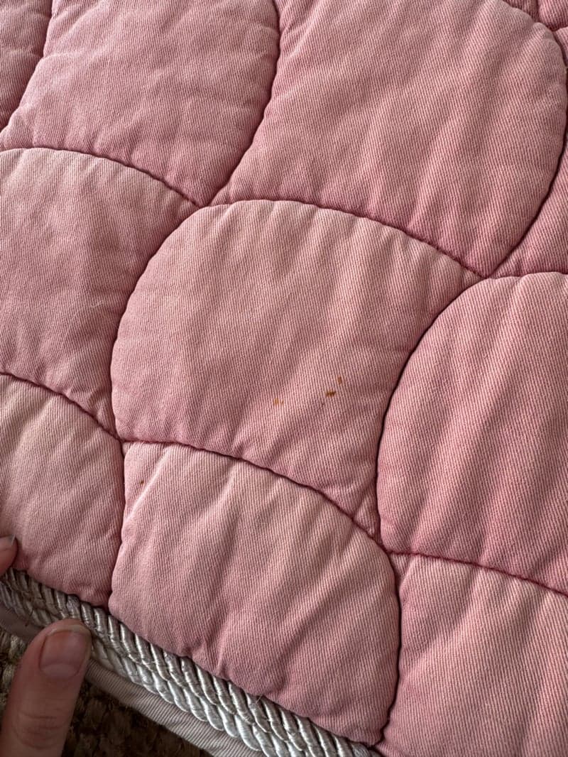 Bild 3 av Rosa schabrak 