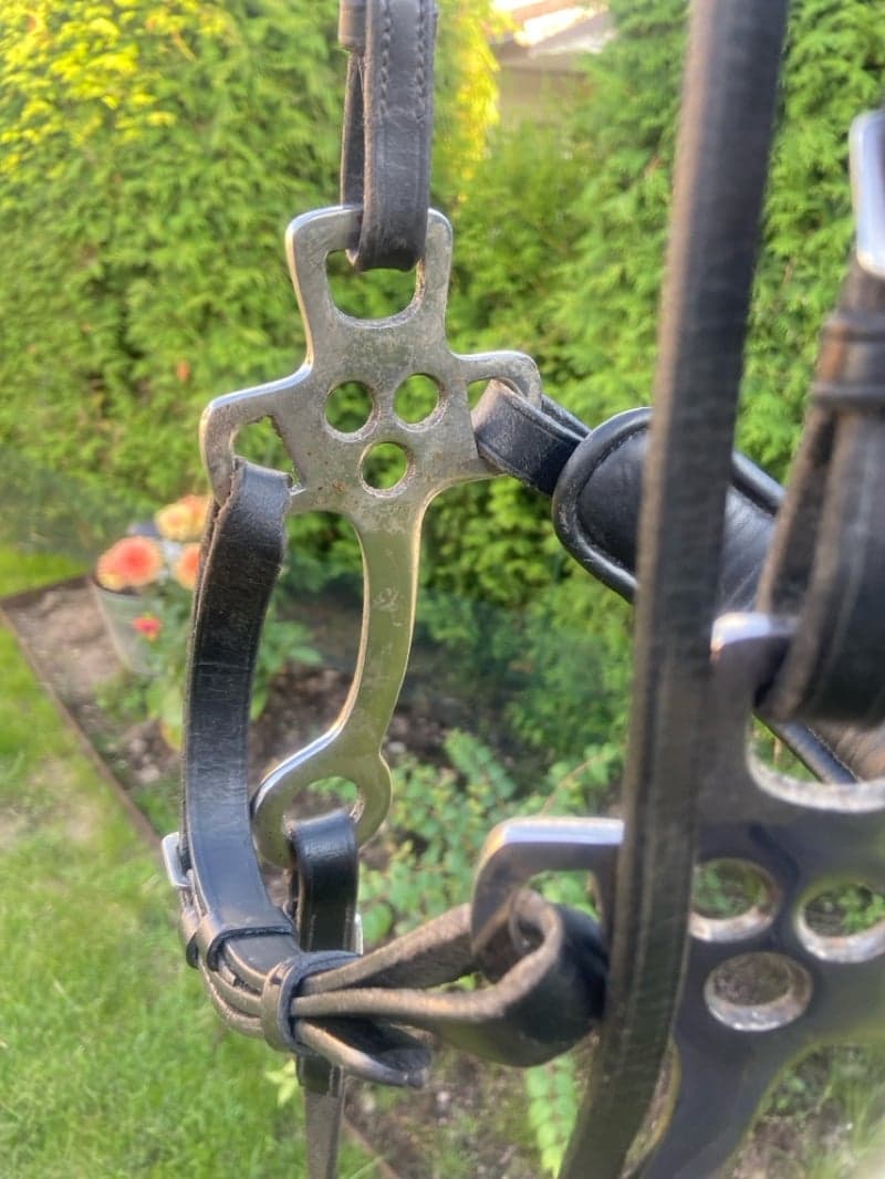 Bild 4 av Svart hackamore