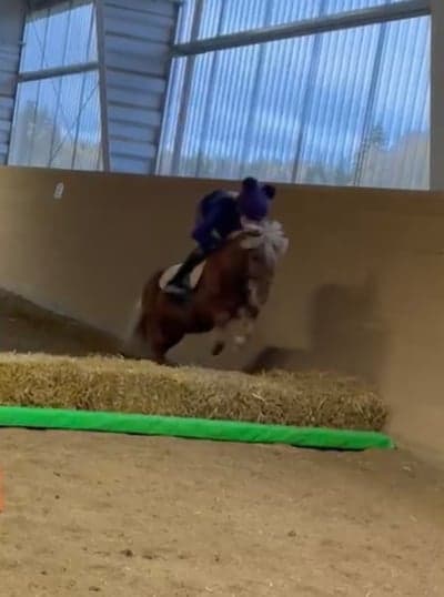 Inlägg 36 av Galopp med titeln Moritz v Tobbenhof - Alva Bergström