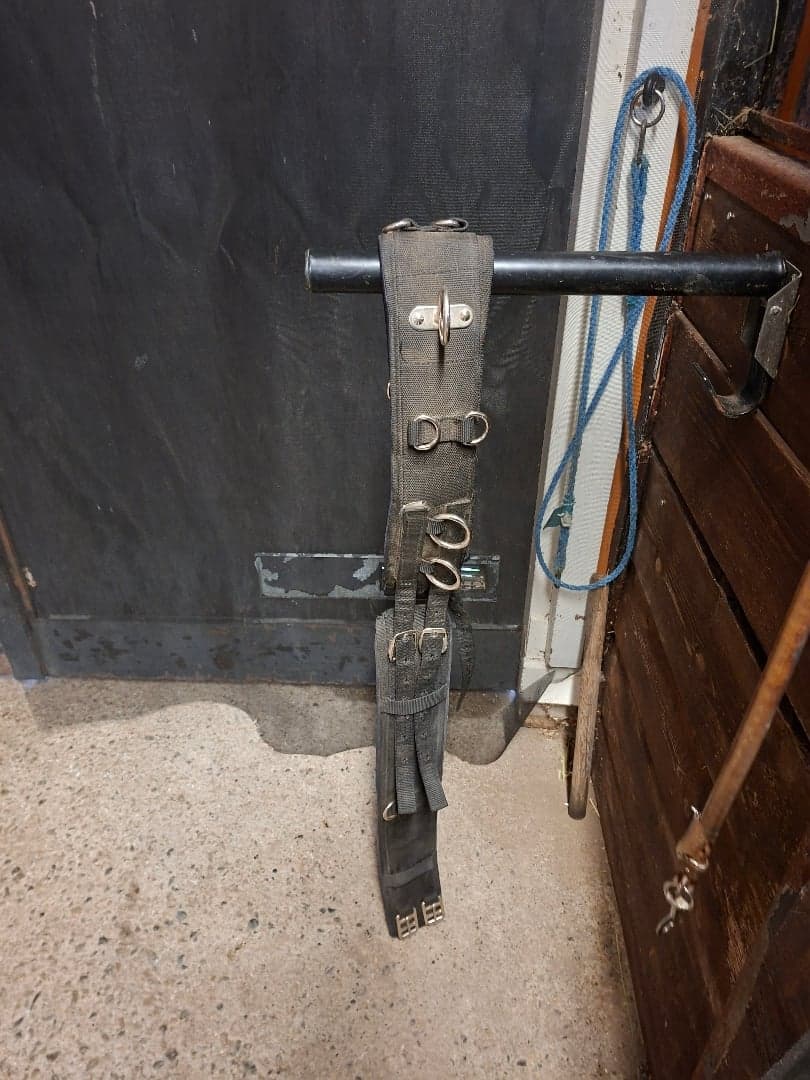 Bild 1 av Longergjord 