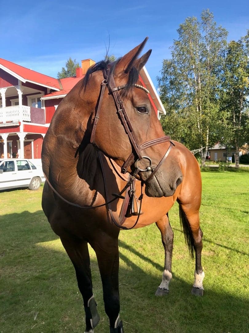 Bild 1 av LaBlanca VL