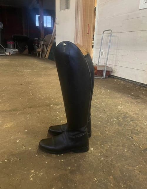 Bild av Svarta dressyr stövlar 