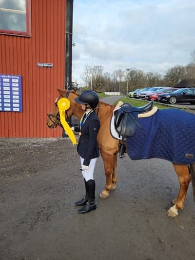 Inlägg 471 av Hoppning