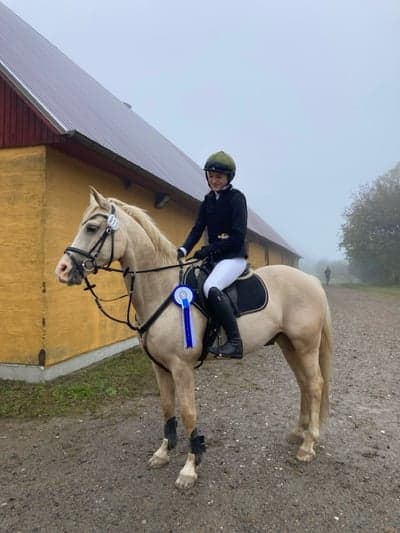 Inlägg 84 av Galopp med titeln 22/10-23❤️