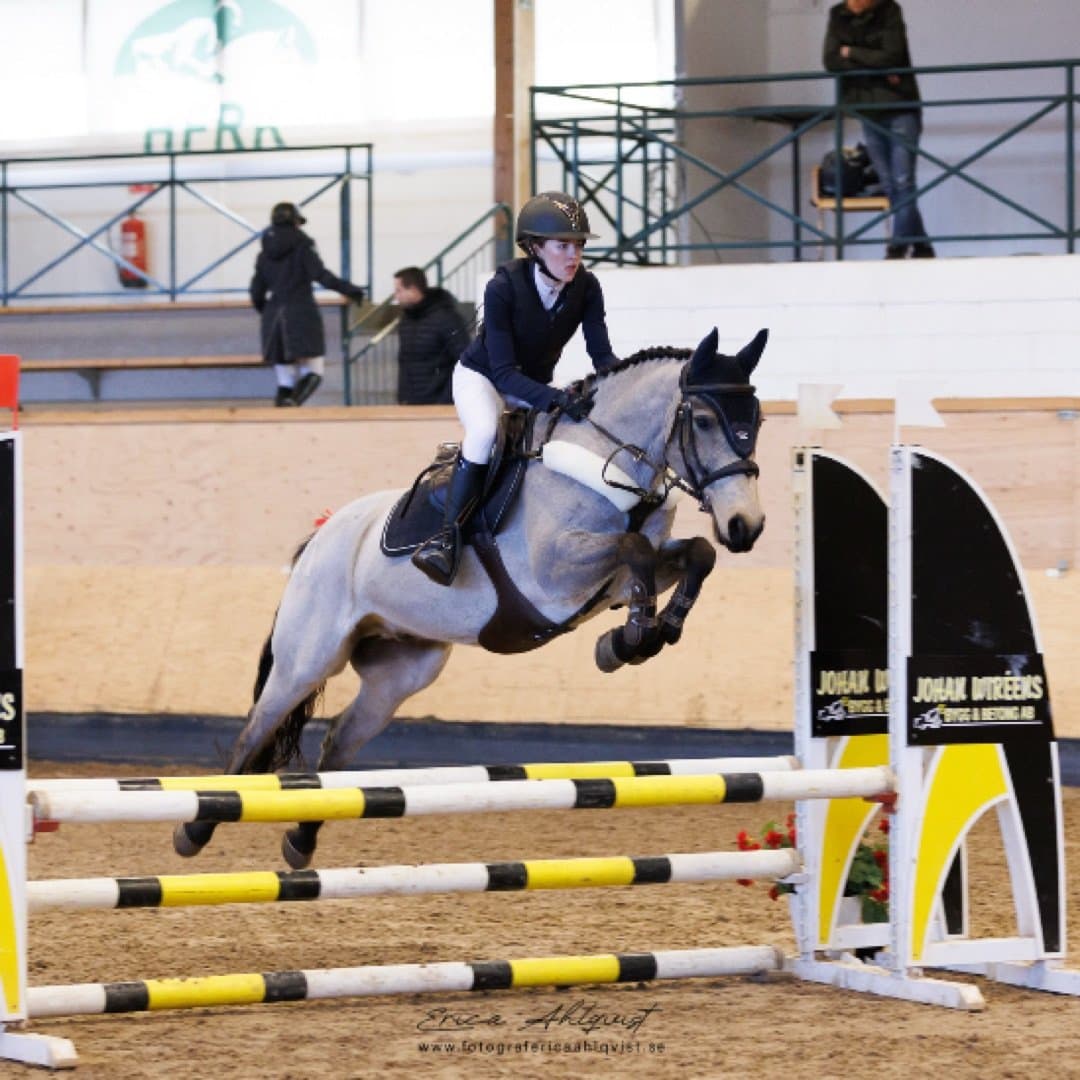 Bild 1 av Galtee mountain dun