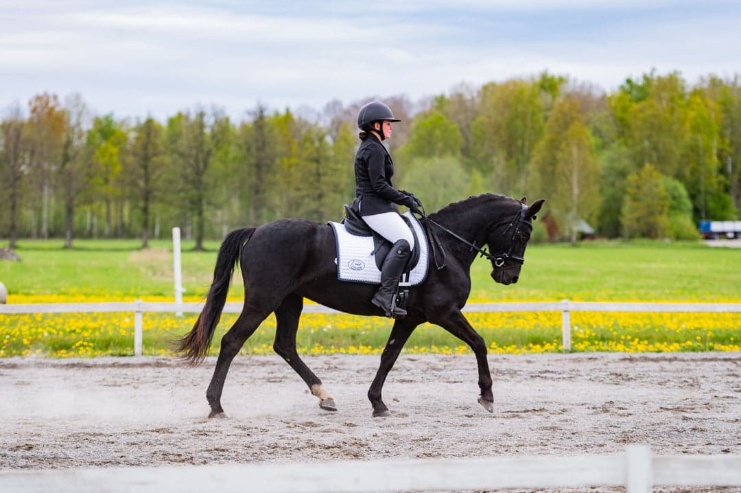 Bild 1 av Springfield Princess