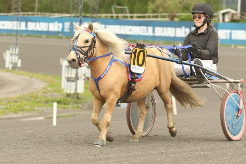 Bild 2 av Minmimmi