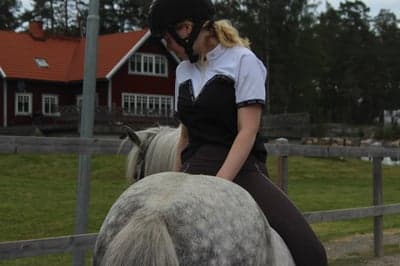 Inlägg 35 av Allround