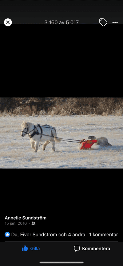 Inlägg 12 av Allround med titeln Tolka 