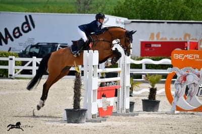 Inlägg 35 av Allround