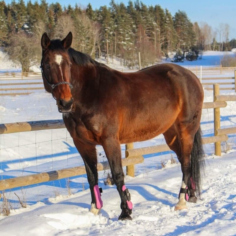 Bild 4 av Maxine fleur