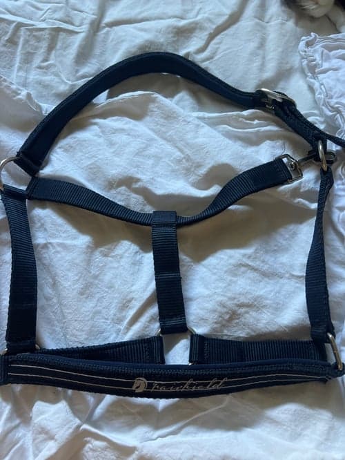 Image of Mörkblå grimma från Fairfield