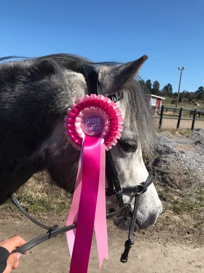 Media 1 av Salstas Tokay