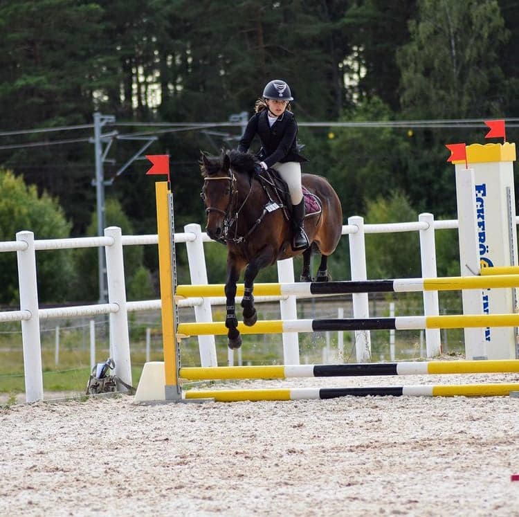 Image 1 of Tagoat lad