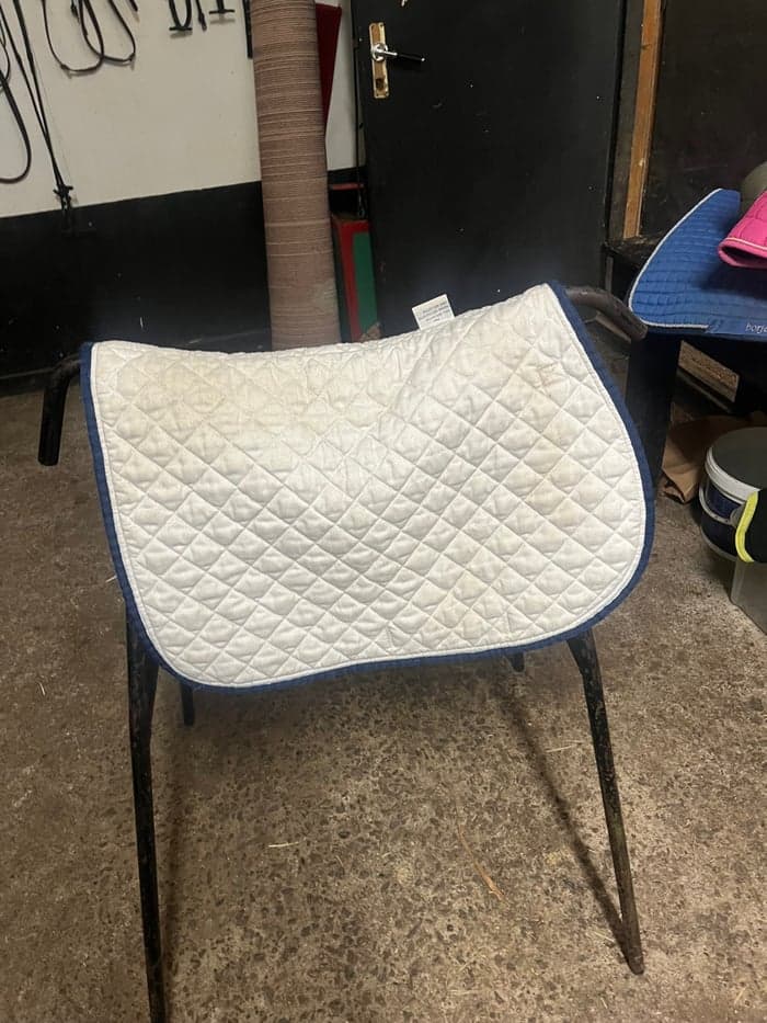 Media 2 of Vitt schabrak från Kingsland