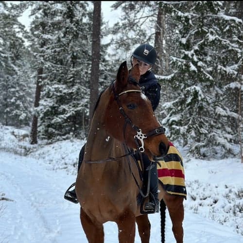 Profilbild av Lovisa Kerslow