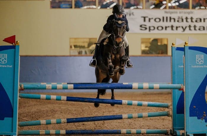 Media 1 av Torpalyckans Mascot