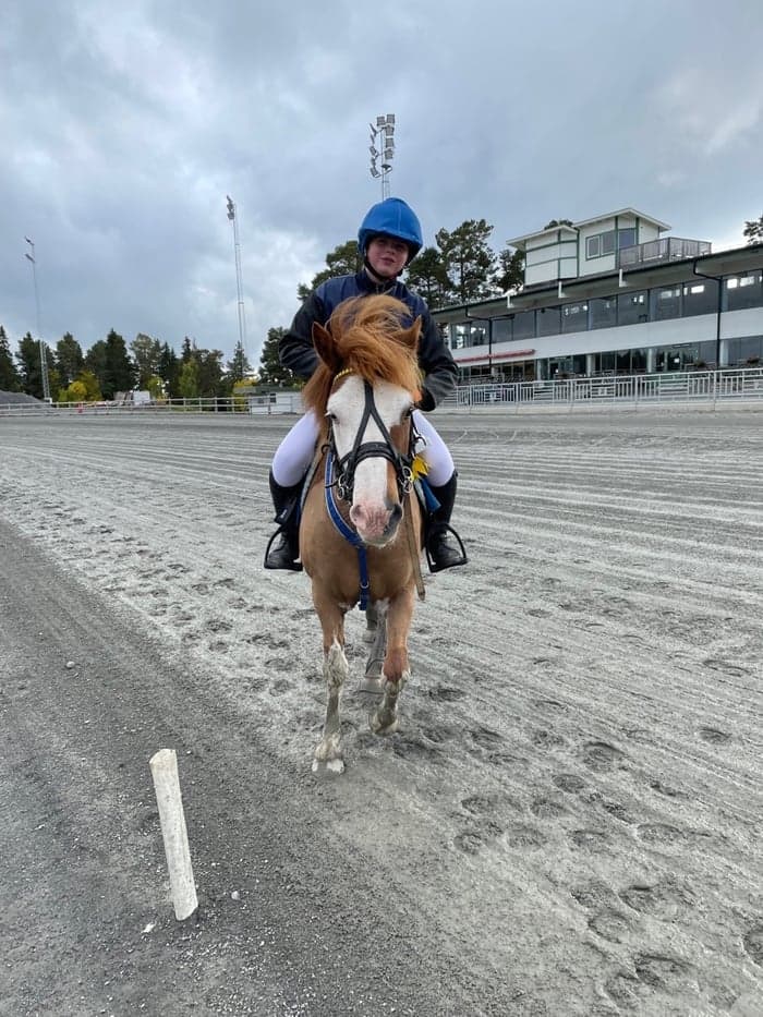 Media 1 av Stuffa runt