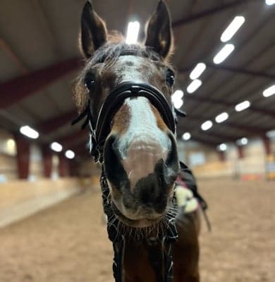 Media 1 av J.A.S Superparty